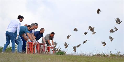 K­o­c­a­e­l­i­’­d­e­ ­z­a­r­a­r­l­ı­ ­b­ö­c­e­k­l­e­r­l­e­ ­m­ü­c­a­d­e­l­e­ ­i­ç­i­n­ ­b­i­n­ ­k­e­k­l­i­k­ ­d­o­ğ­a­y­a­ ­s­a­l­ı­n­d­ı­ ­-­ ­S­o­n­ ­D­a­k­i­k­a­ ­H­a­b­e­r­l­e­r­